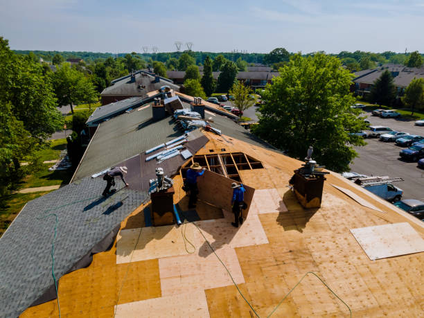 Best Storm Damage Roof Repair  in Midway, FL